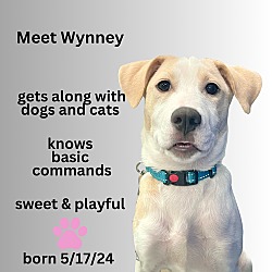 Thumbnail photo of W7F WYNNEY #3