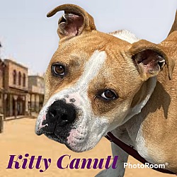 Photo of Kitty Canutt