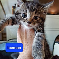 Photo of Iceman