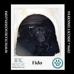 Thumbnail photo of Fido 022424 #4