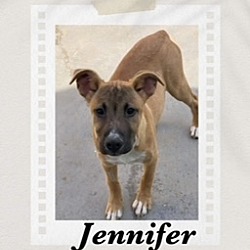 Thumbnail photo of Jennifer #1