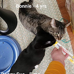 Thumbnail photo of Bonnie #4
