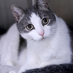Photo of Clarissa
