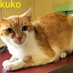 Photo of Ikuko