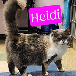 Photo of Heidi