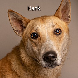 Thumbnail photo of Hank Junior #4