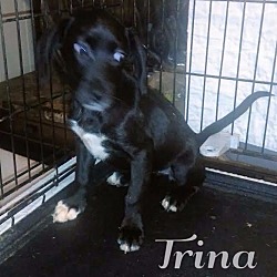 Thumbnail photo of Trina #2