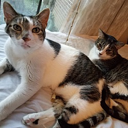 Thumbnail photo of Skittles and Peanut #2