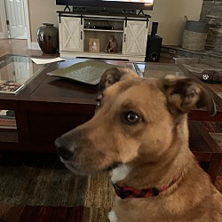 Thumbnail photo of Frodo  #2