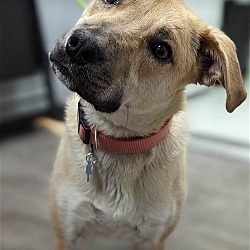 Photo of Suggie
