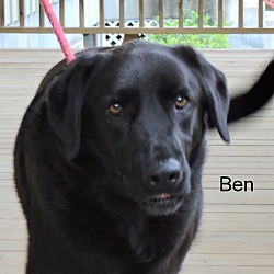Thumbnail photo of Ben #1