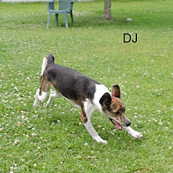 Thumbnail photo of DJ #4