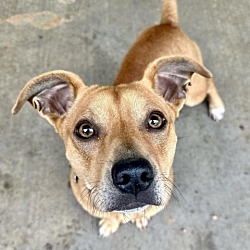 Photo of Cubby