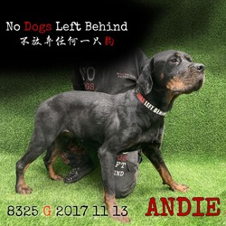 Thumbnail photo of Andie 8525 #1