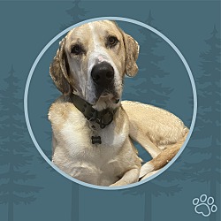 Photo of Gordy
