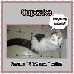Thumbnail photo of Cupcake #2