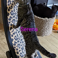 Photo of Serina
