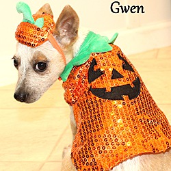 Thumbnail photo of Gwen ~ meet me! #4