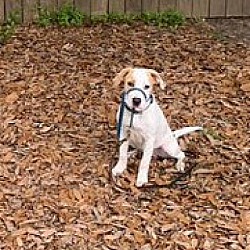 Photo of Arlo