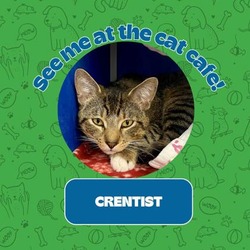 Thumbnail photo of Crentist #1