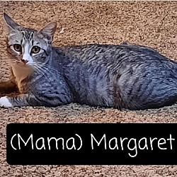 Photo of Mama Margaret