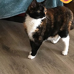 Photo of Allie B