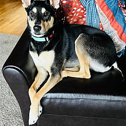Photo of Nellie