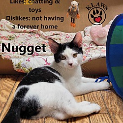 Thumbnail photo of Nugget #4