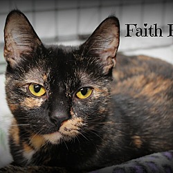 Thumbnail photo of Faith Hill #2