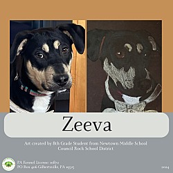 Photo of Zeeva
