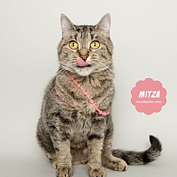 Thumbnail photo of MITZA #2