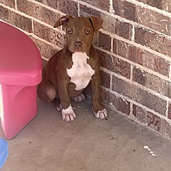Photo of Remi 