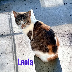 Photo of Leela