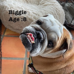 Photo of Biggie