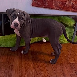 Photo of Azula