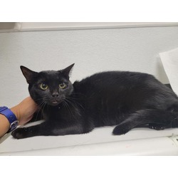 Photo of WINIFRED
