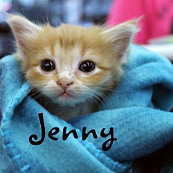 Thumbnail photo of Jenny #2