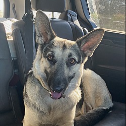 Photo of Remy