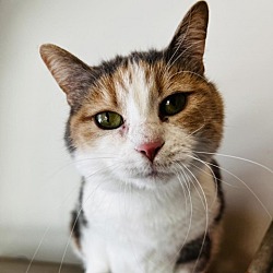 Photo of Connie