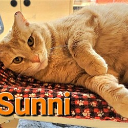 Photo of Sunni