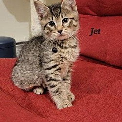 Thumbnail photo of Jet #2