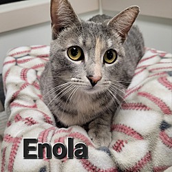 Photo of Enola