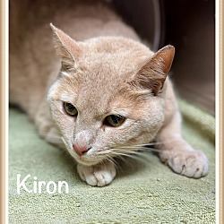 Photo of KIRON
