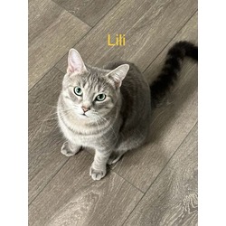Photo of Lili(bonded to Tutu)