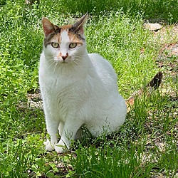 Photo of Aunt Pearl (Sponsored)