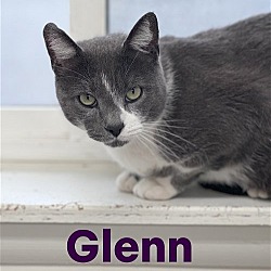 Photo of Glenn, Willow Grove PA (FCID # 03/27/2024-130)
