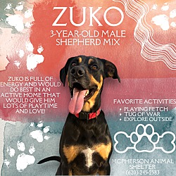 Thumbnail photo of Zuko #1