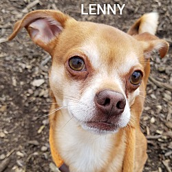 Thumbnail photo of Lenny #3