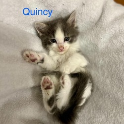 Thumbnail photo of Quincy H #1