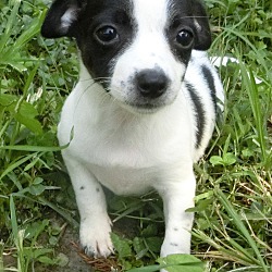 Thumbnail photo of Kelly Seasons~adopted! #2